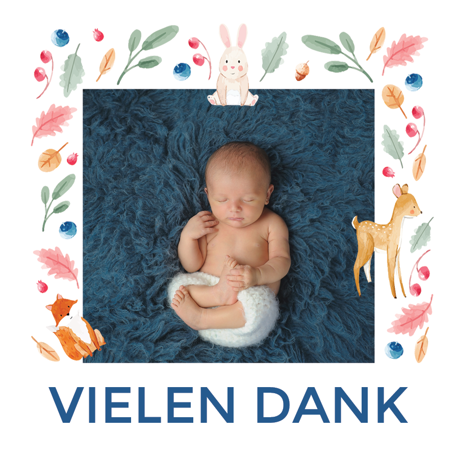 Dankeskarten — Farbenfrohe Waldtiere