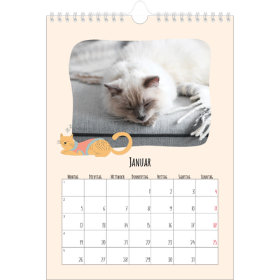 Fotokalender A4 (20 x 30 cm) — Katzenpfoten und Kritzeleien [Januar]