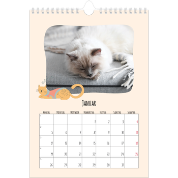 Fotokalender A4 — Katzenpfoten und Kritzeleien