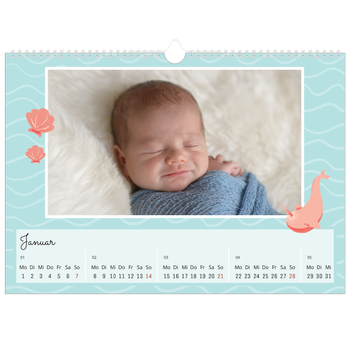 Fotokalender A3 — Süße Tiere
