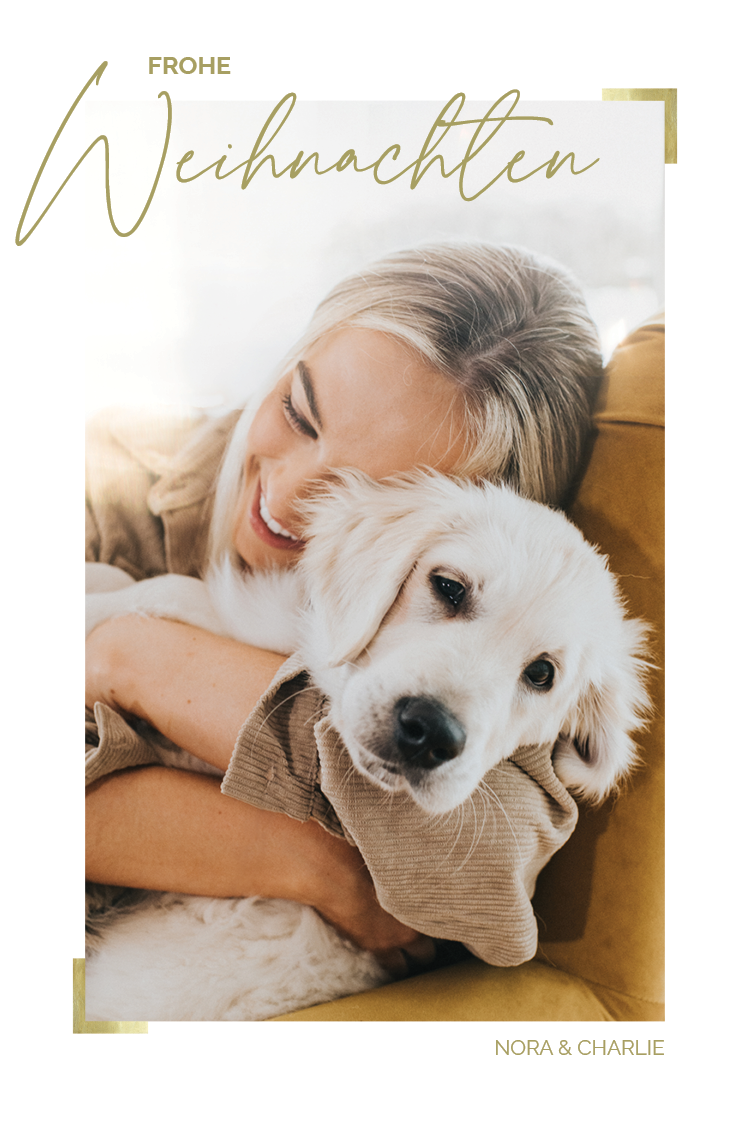 Fotokarten — Details in Gold