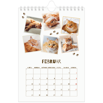 Fotokalender A5 — Verspieltes Kätzchen [Februar]