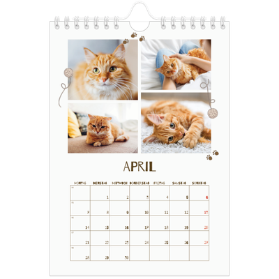 Fotokalender A5 — Verspieltes Kätzchen [April]